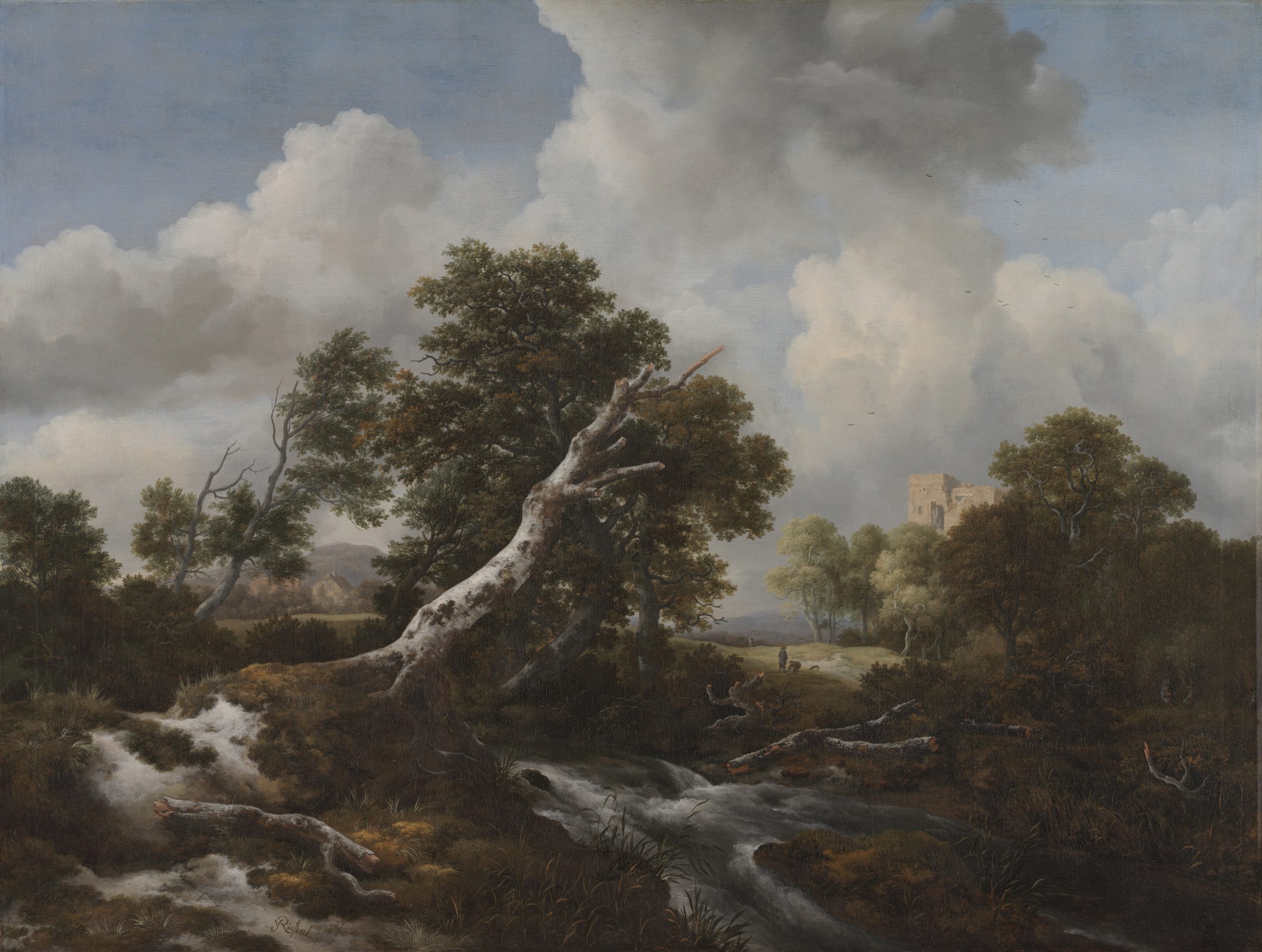 Low Waterfall in a Wooded Landscape with a Dead Beech Tree, painting by Jacob van Ruisdael, c. 1660–70